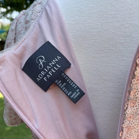 Adrianna Papell Ombre Sequin Column Gown Blush Ombre Short Sleeve V-Neck Size 10 - Picture 12 of 16